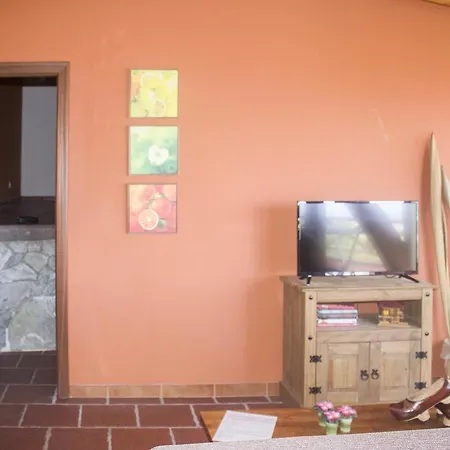 Apartment Aptos Playa Moreno. Icod De Los Vinos